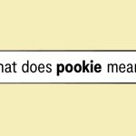 What Does Pookie Mean